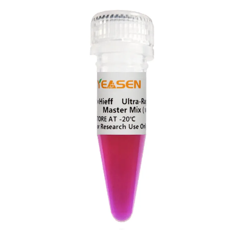 2× Hieff™ Ultra-Rapid II HotStart PCR Master Mix - 1 mL