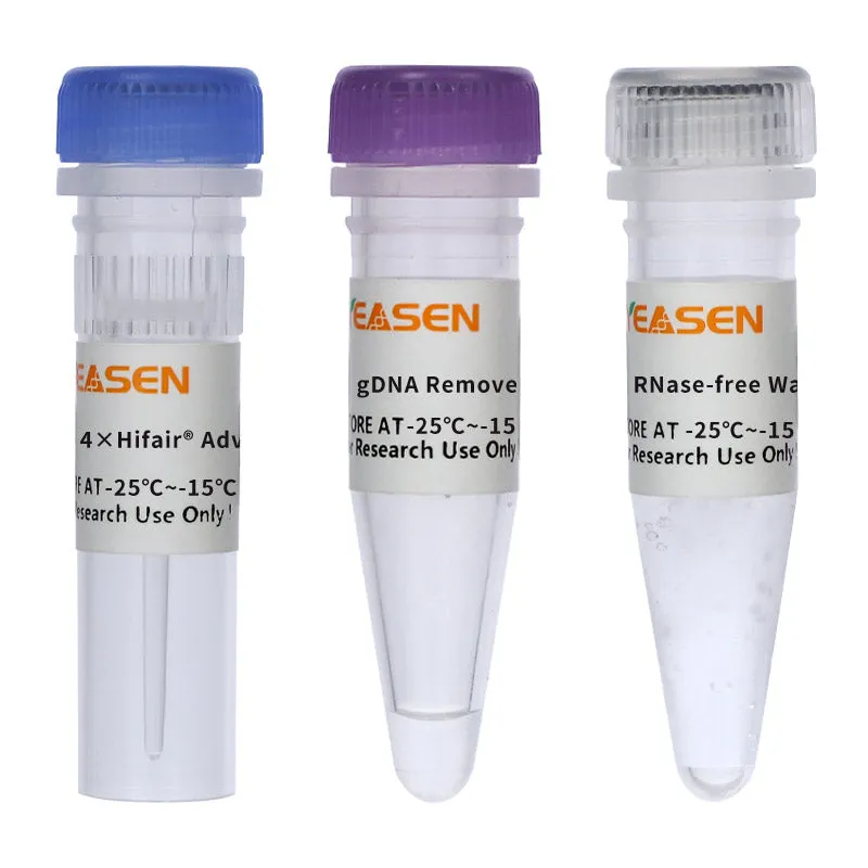 Hifair™ AdvanceFast One-step RT-gDNA Digestion SuperMix for qPCR - image 1