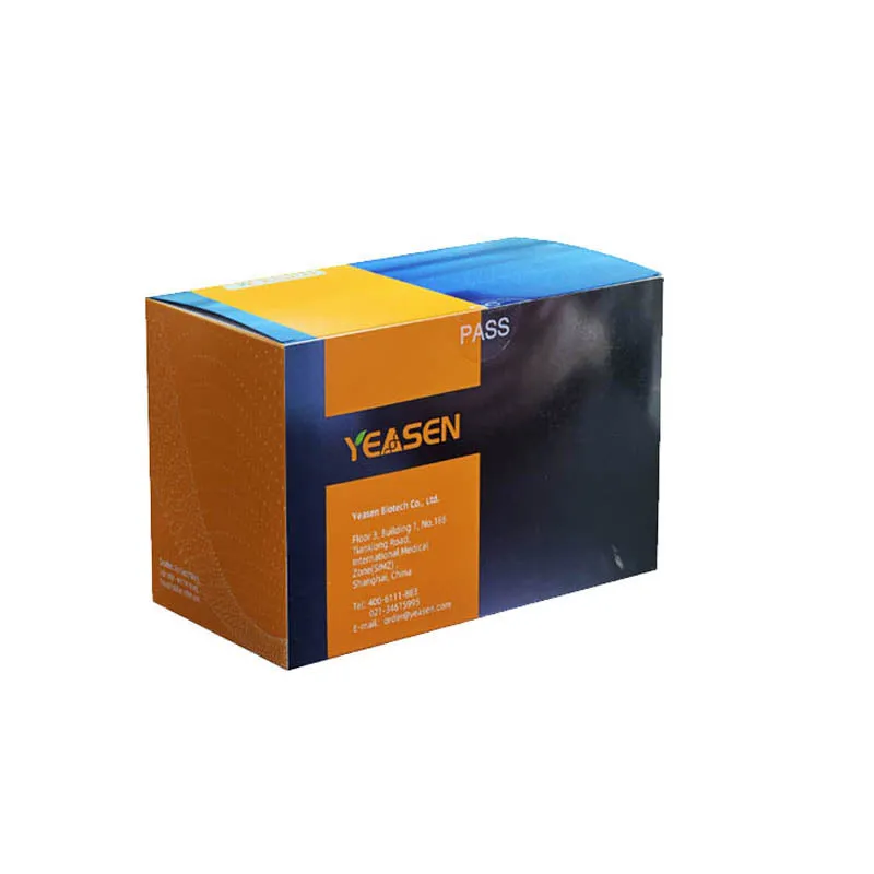 The Hieff NGS dsDNA Methyl Library Prep Kit - image 1
