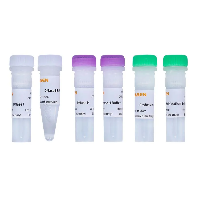 Hieff NGS™ MaxUp rRNA Depletion Kit (Plant) - image 1
