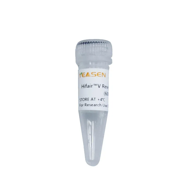 Hifair™ V Reverse Transcriptase (600U/μL, Glycerol free) - image 1