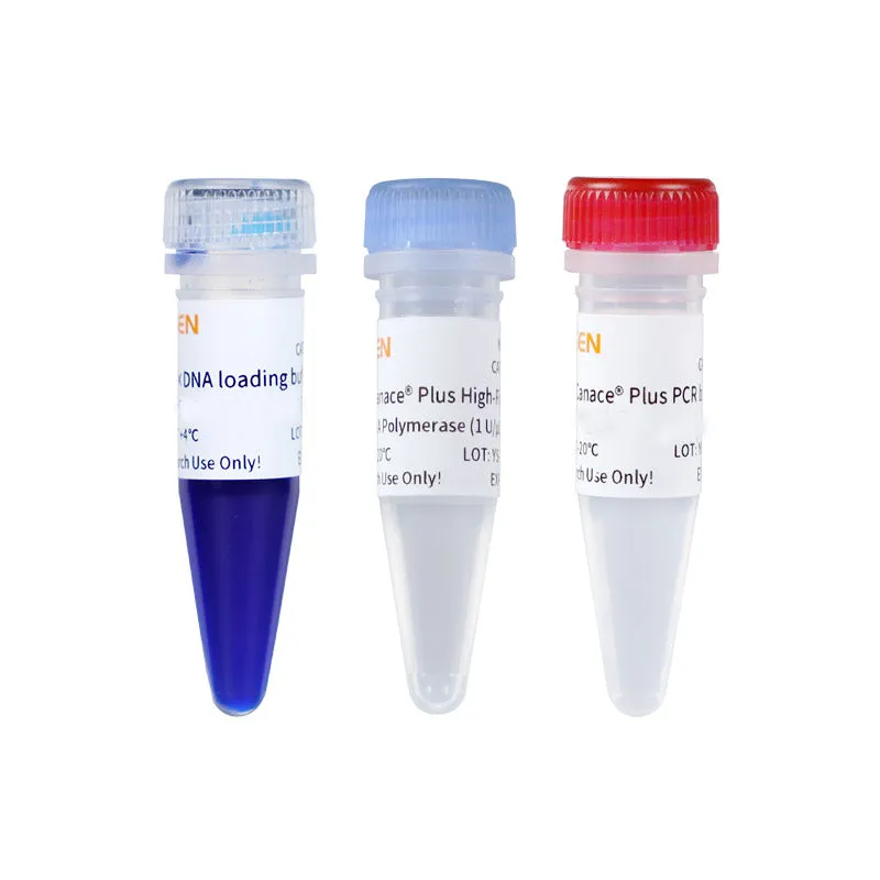 Hieff Canace™ Plus High-Fidelity DNA Polymerase - image 1
