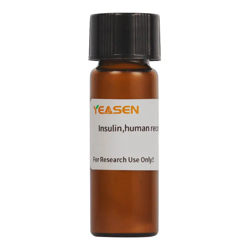 Insulin, Human Recombinant - image 1