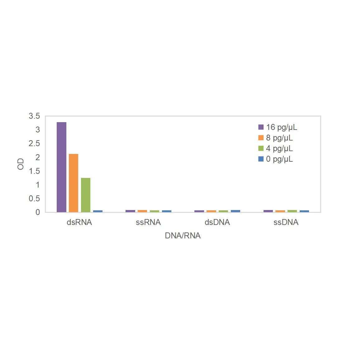 Double-stranded RNA (dsRNA) ELISA kit - image 1