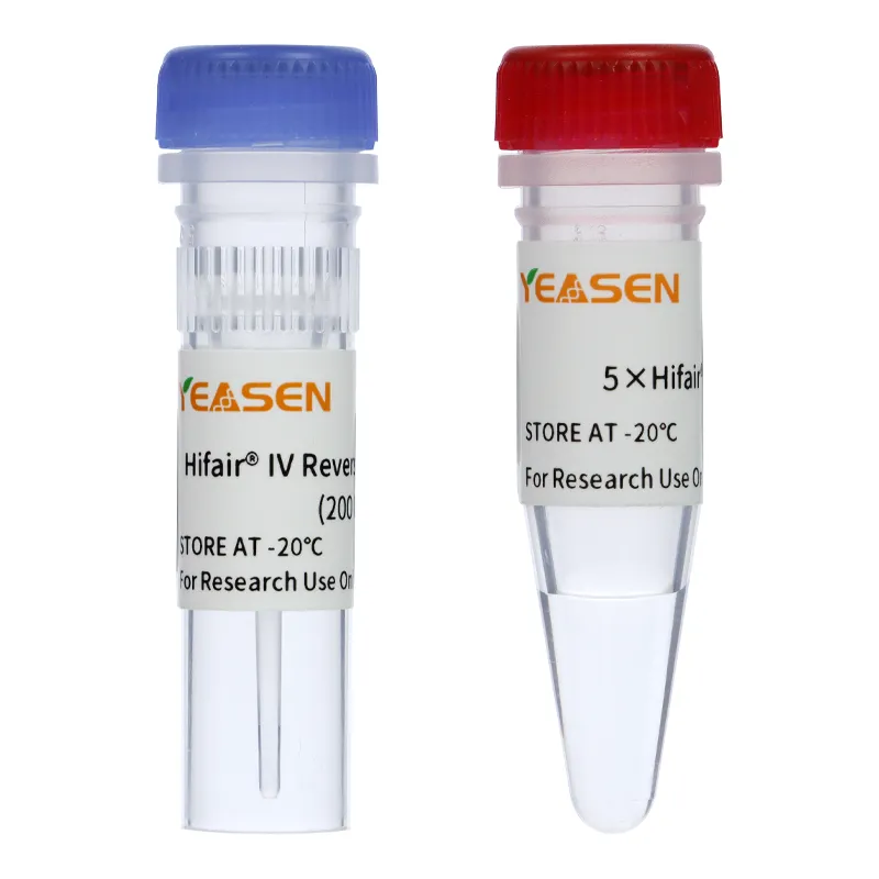 Hifair™ IV Reverse Transcriptase - image 1
