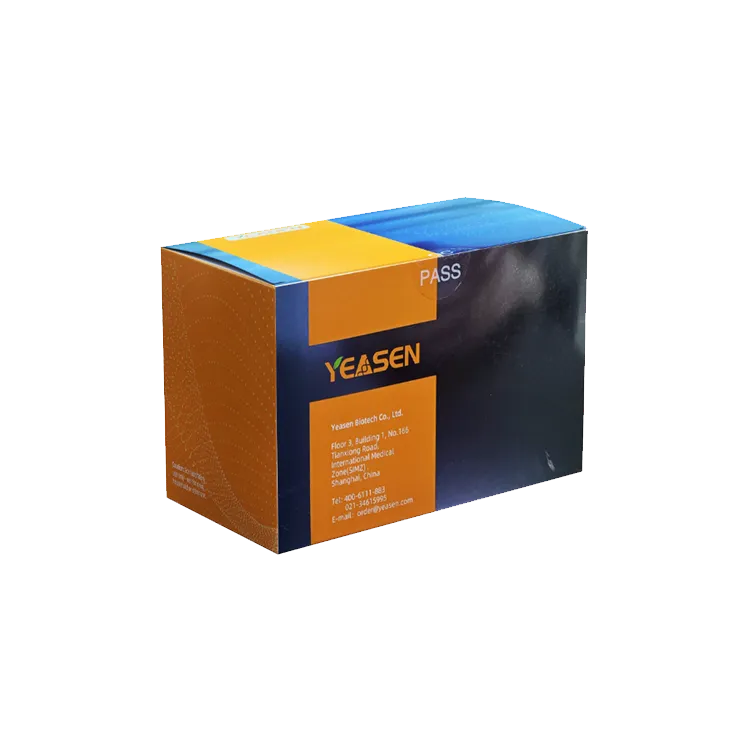 MycAway™ Mycoplasma qPCR Detection Kit (2G) - image 1