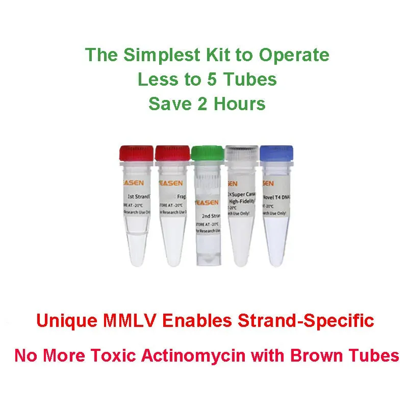Hieff NGS™ EvoMax RNA Library Prep Kit (Strand-specific) - image 1