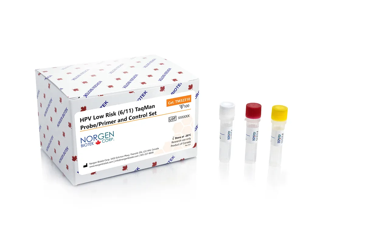 HPV Low Risk (6/11) TaqMan Probe/Primer and Control Set - image 1
