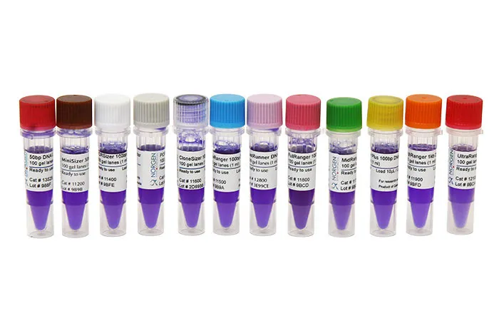 HighRanger Plus 100bp DNA Ladder - image 1