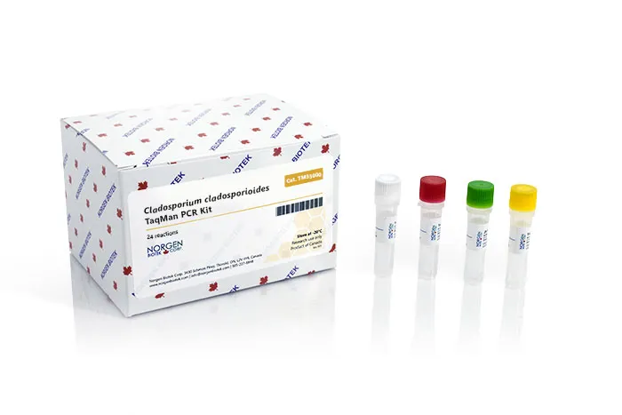 Cladosporium cladosporioides TaqMan Probe/Primer and Control Set - image 1