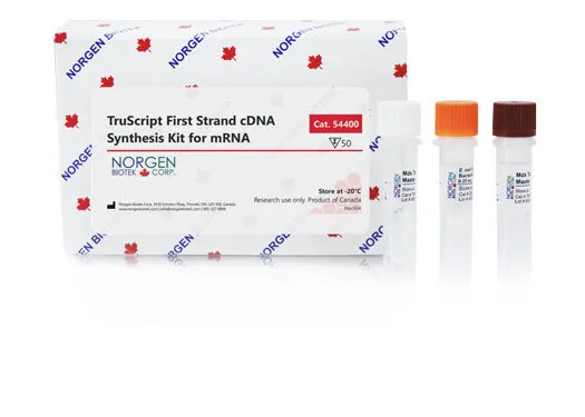 TruScript First Strand cDNA Synthesis Kit for mRNA - image 1