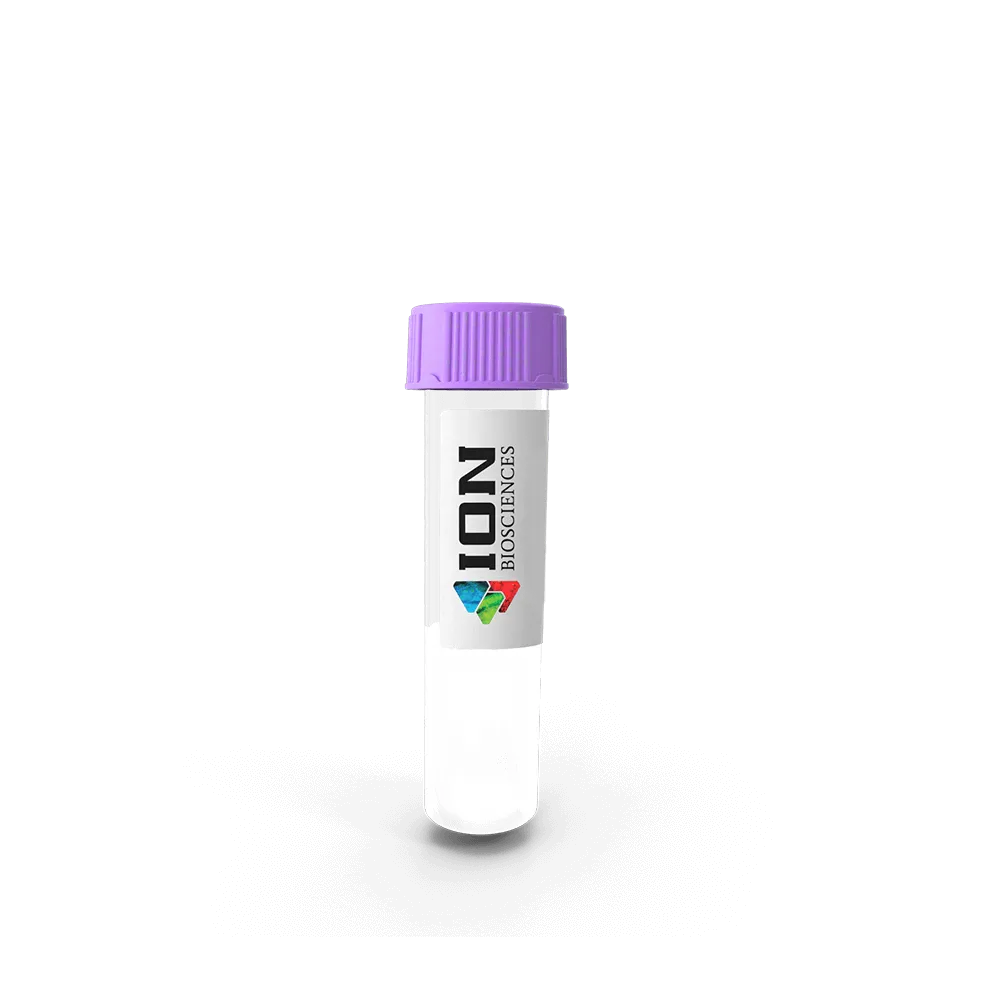 100X Probenecid Solution - image 1