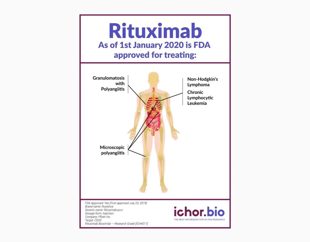 Rituximab Biosimilar - Research Grade - image 1