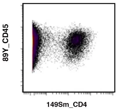 Anti-CD4 (GK1.5) In Vivo Antibody - Low Endotoxin - image 1