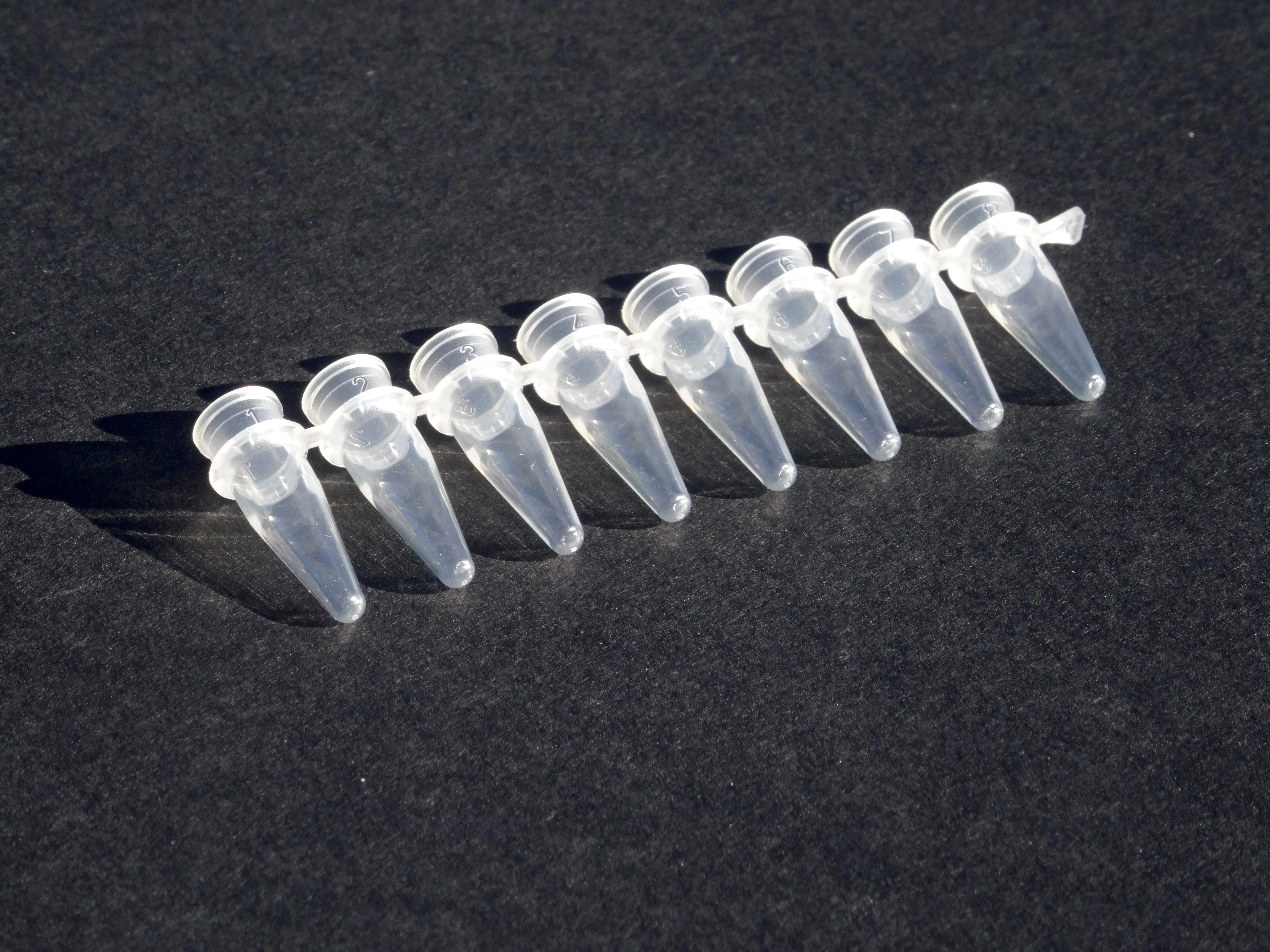 Streptavidin High Binding Coated PCR 8 Strip Tubes - image 1