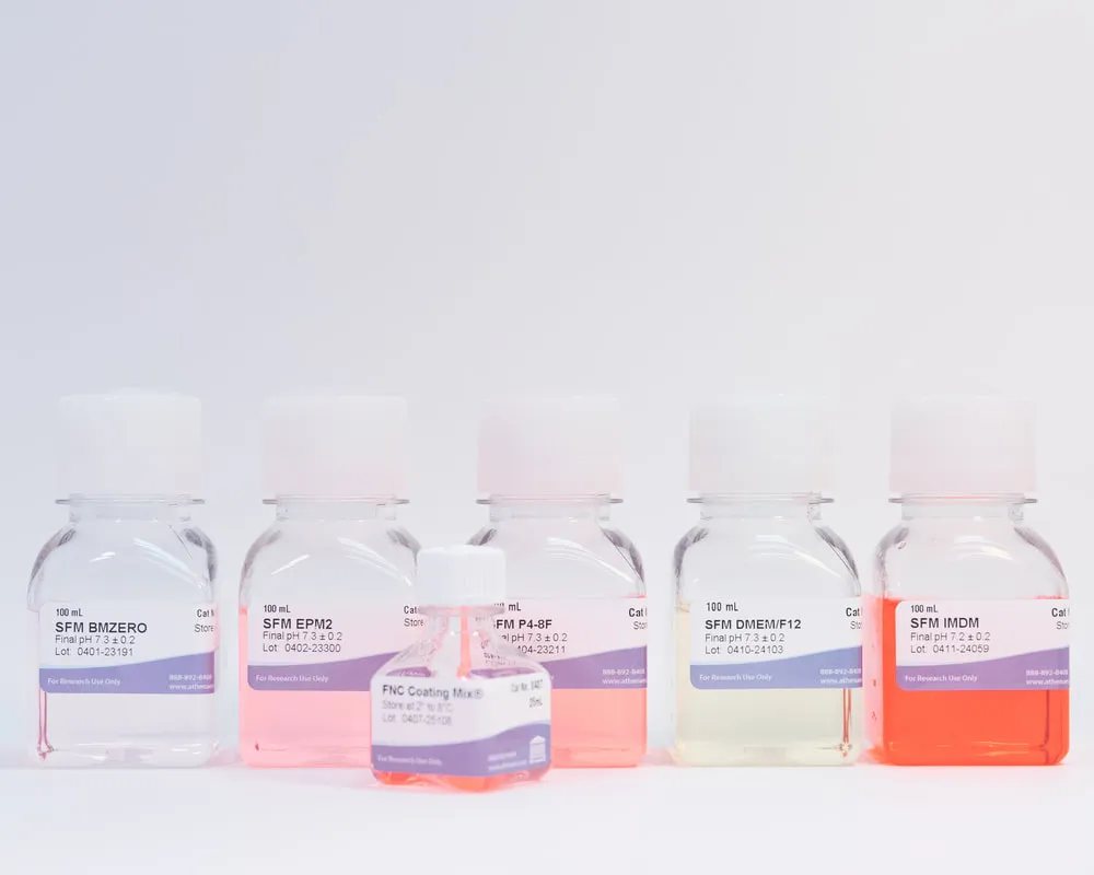 SFM Screening Kit - image 1