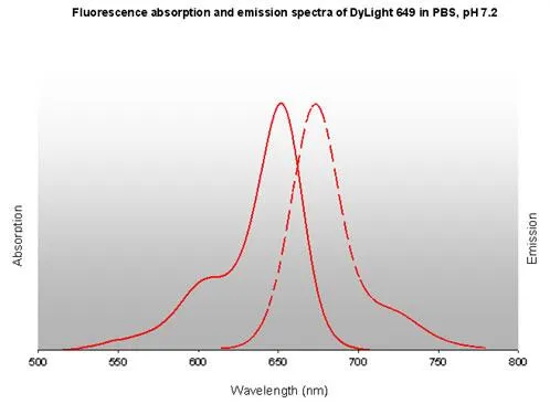 DyLight 649 Conjugated Affinity Purified anti-Mouse IgG (H&L) [Goat] - image 1