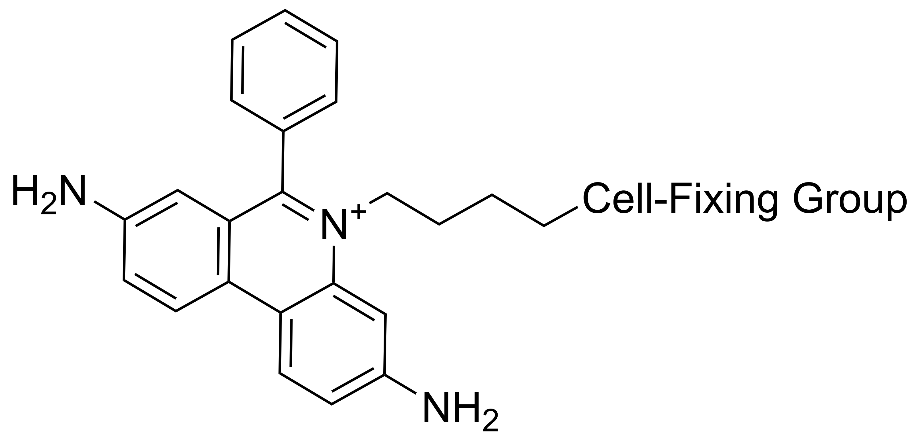 PI Brite™ - image 1