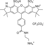 XFD532 amine - image 2