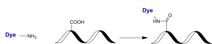 XFD555 amine