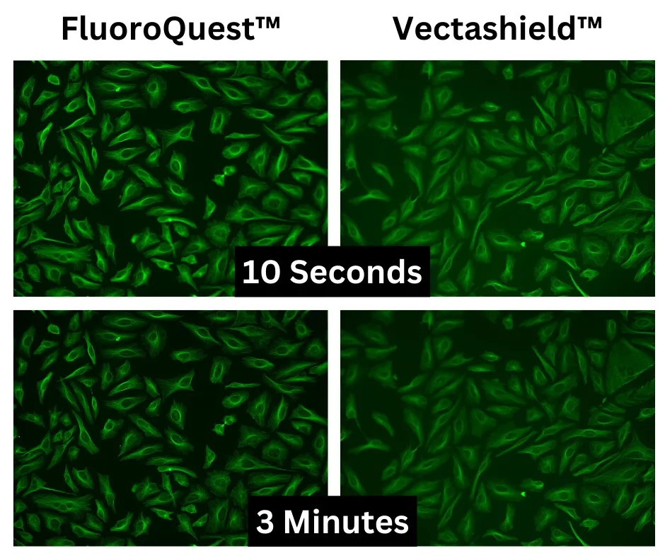 FluoroQuest™ TSA/PSA Antifade Mounting Medium *Optimized for Tyramide and Styramide Imaging* - image 1