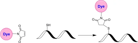 Tide Quencher™ 8WS maleimide [TQ8WS maleimide] - image 1