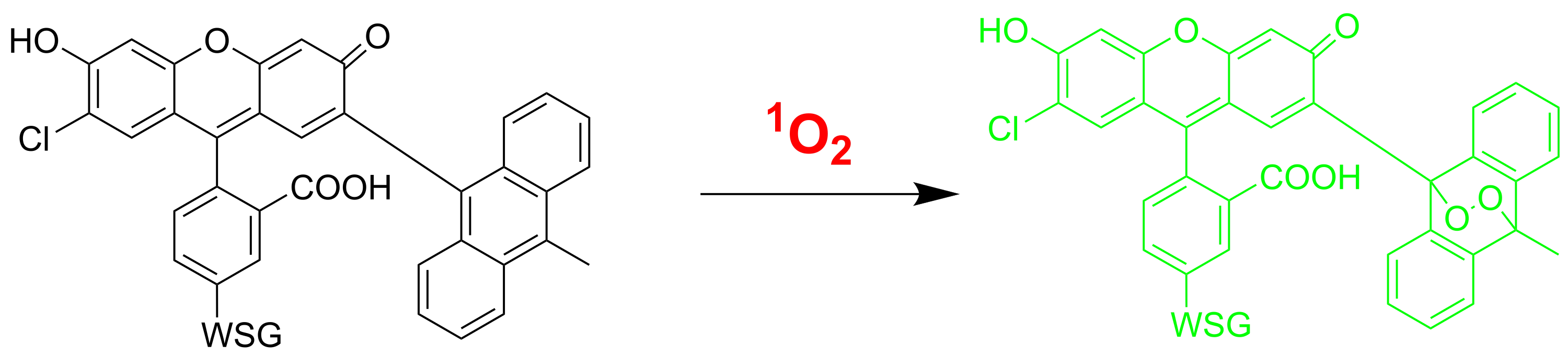 SO Green™ 520WS Singlet Oxygen Sensor *Water-Soluble for Extracellular Applications* - image 1