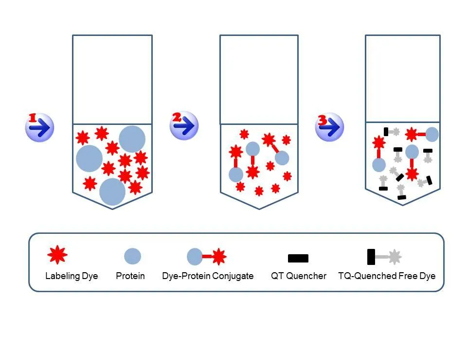 ReadiLink™ Rapid trFluor™ Tb Antibody Labeling Kit *Microscale Optimized for Labeling 50 ug Antibody Per Reaction* - image 1
