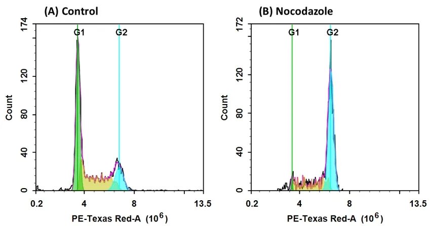 Cell Meter™ Fluorimetric Fixed Cell Cycle Assay Kit *Red Fluorescence Optimized for Flow Cytometry* - image 1