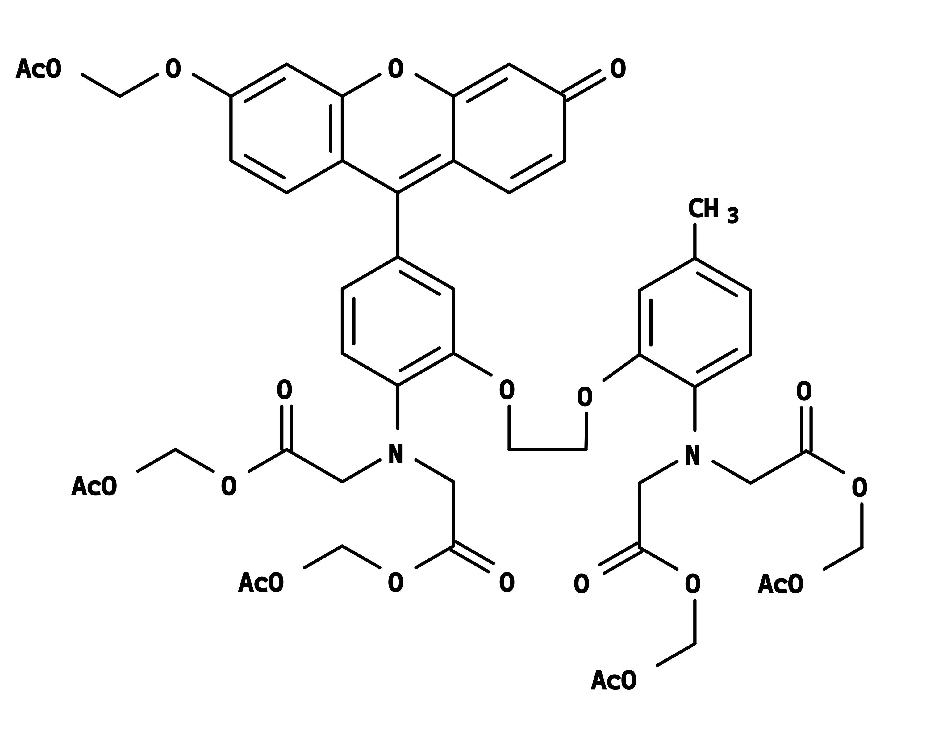 Fluo-2, AM - image 1