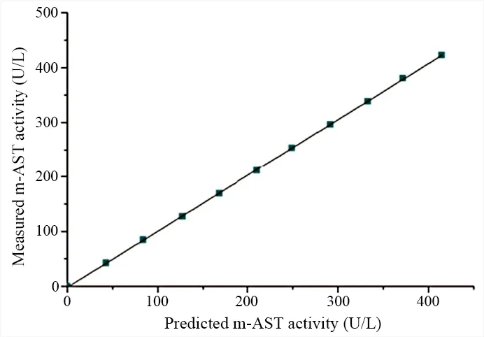Anti-Aspartate aminotransferase, cytoplasmic antibody *Mouse anti-human, monoclonal IgG1* thumbnail 4