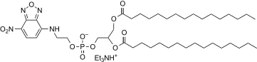 NBD-PE [N-(7-Nitrobenz-2-Oxa-1,3-Diazol-4-yl)-1,2-Dihexadecanoyl-sn-Glycero-3-Phosphoethanolamine, Triethylammonium Salt] - image 1