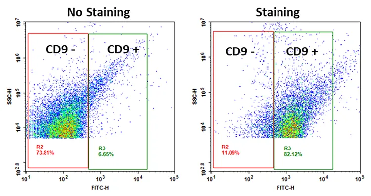 ReadiPrep™ Exosome Isolation Kit - image 1