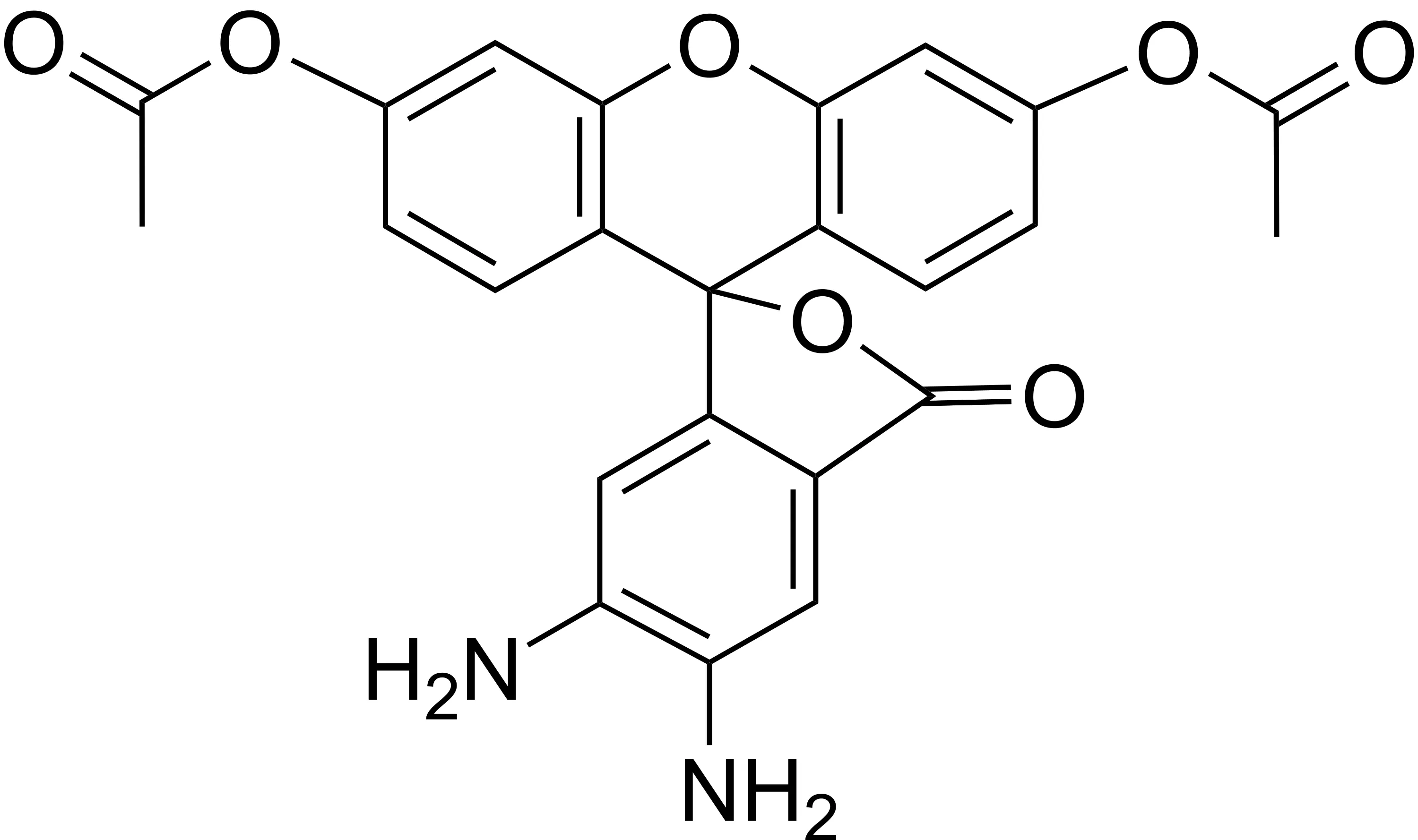 DAF-2 DA - image 2