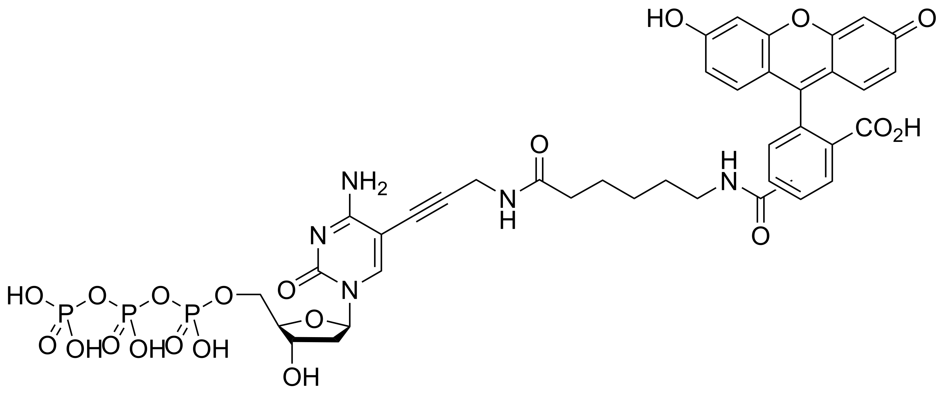 Fluorescein-12-dCTP *1 mM in Tris Buffer (pH 7.5)* - image 1