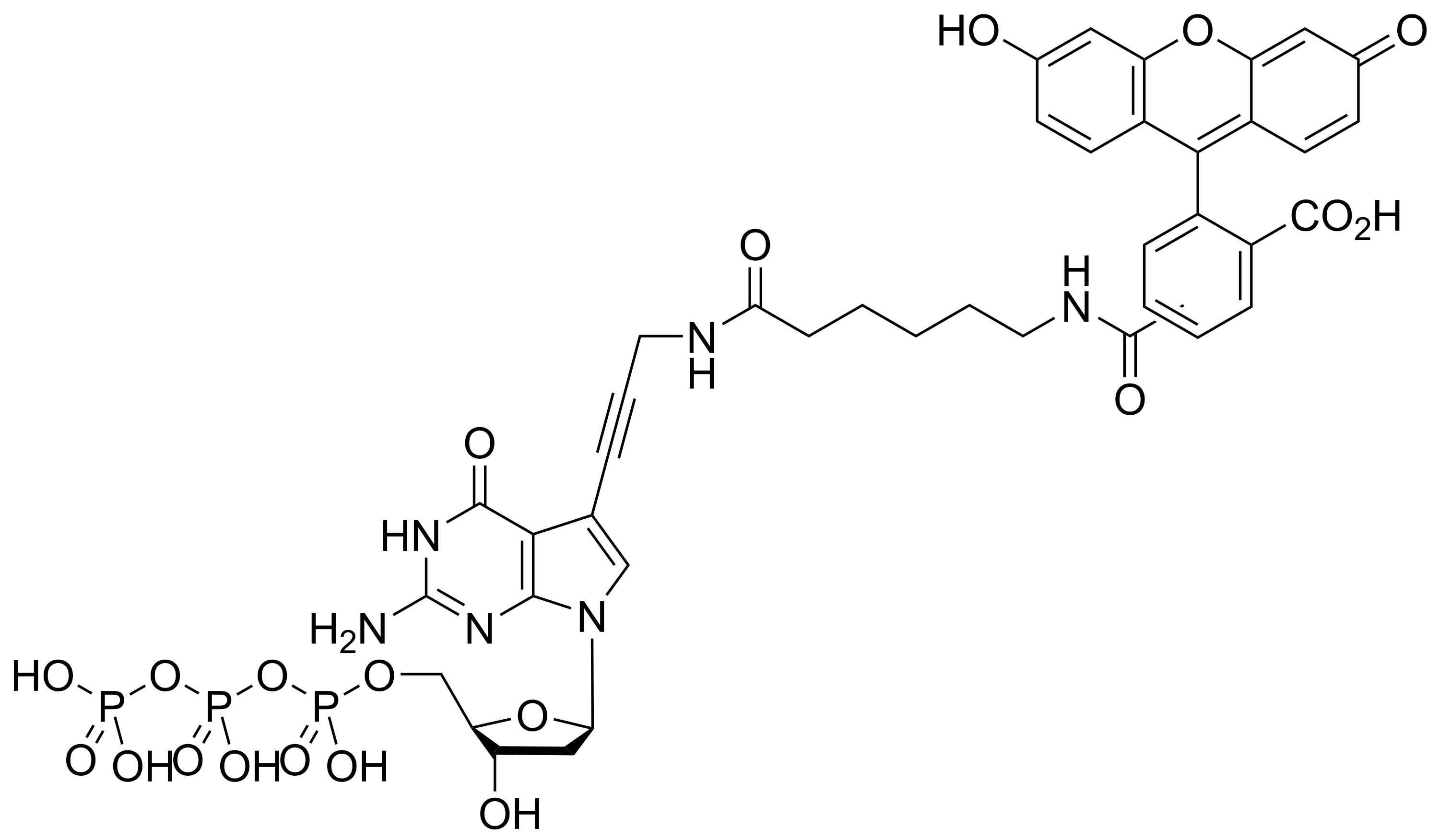 Fluorescein-12-dGTP *1 mM in Tris Buffer (pH 7.5)* - image 1