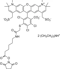 XFD610 NHS Ester - image 1