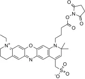 AATOM™ 680 NHS ester - image 2