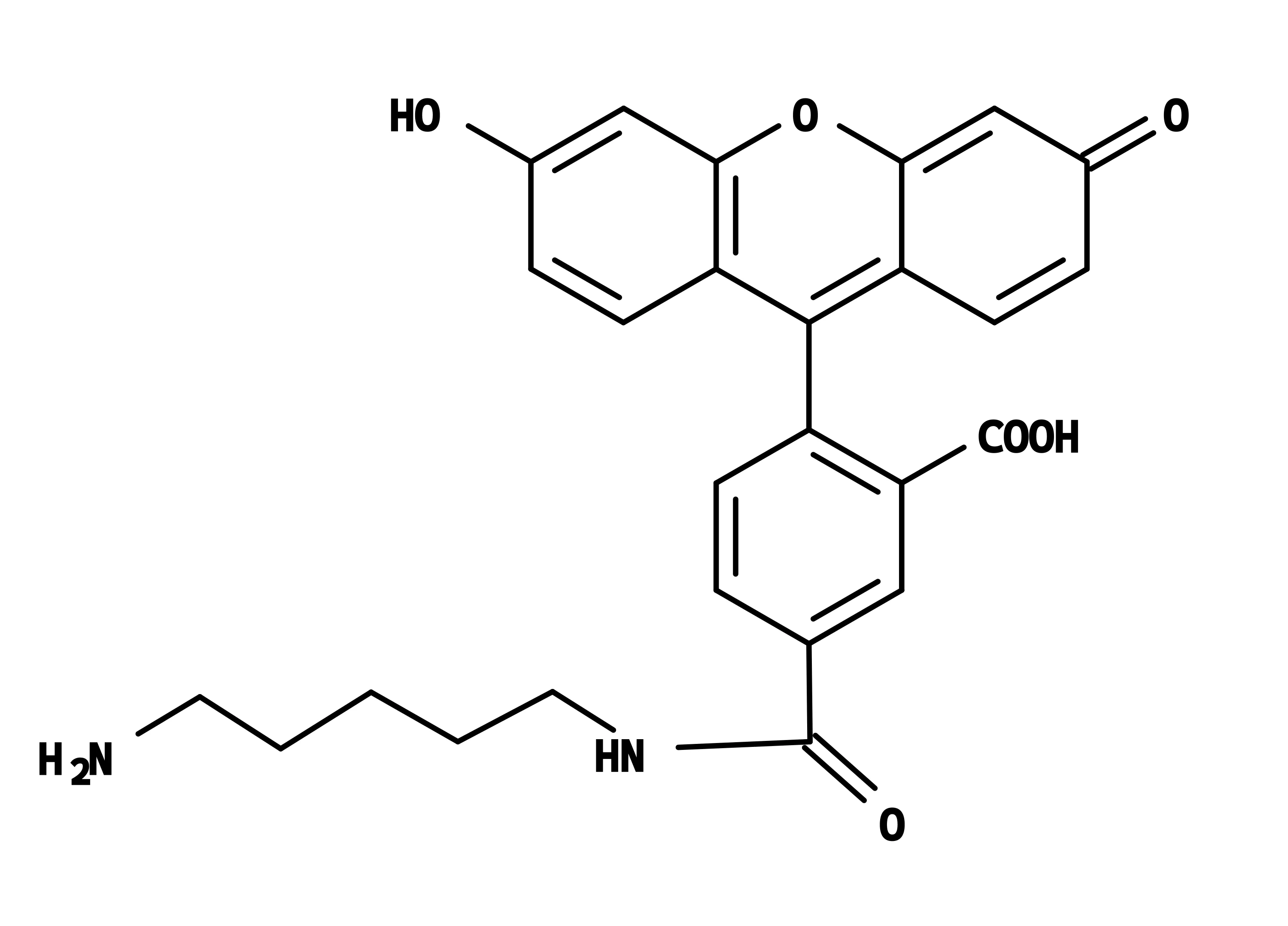 5-FAM cadaverine - image 1
