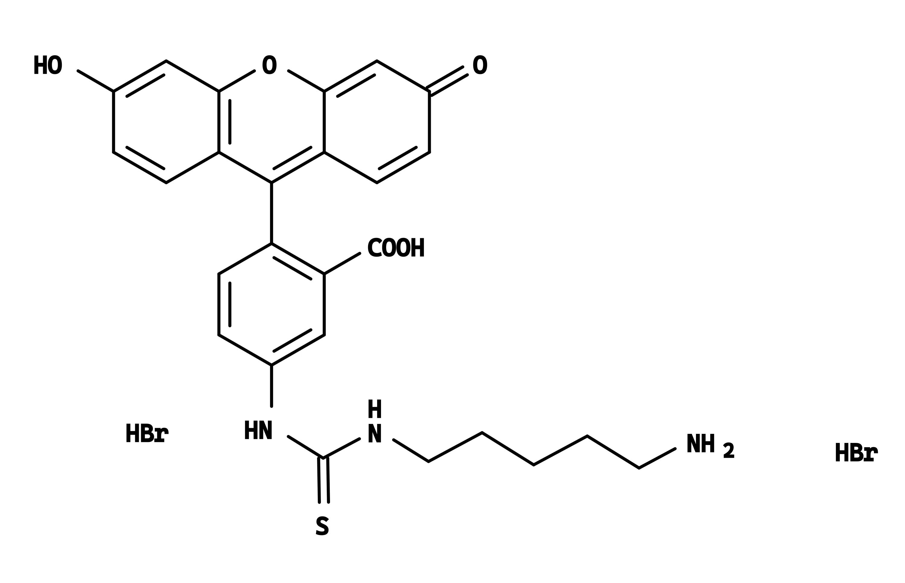5-FITC cadaverine - image 1