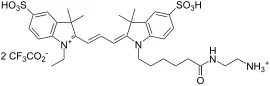Cyanine 3 amine [equivalent to Cy3® amine] - image 1