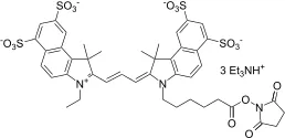Cyanine 3.5 monosuccinimidyl ester [equivalent to Cy3.5® NHS ester] - image 1