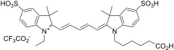 Cyanine 5 monoacid [equivalent to Cy5® acid] - image 1