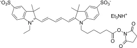 Cyanine 5 monosuccinimidyl ester [equivalent to Cy5® NHS ester] - image 1