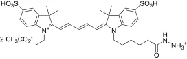 Cyanine 5 hydrazide [equivalent to Cy5® hydrazide] - image 1