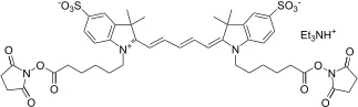 Cyanine 5 bissuccinimidyl ester [equivalent to Cy5® bisNHS ester] - image 1