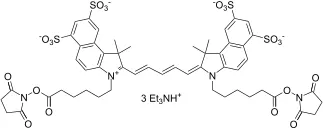 Cyanine 5.5 bissuccinimidyl ester [equivalent to Cy5.5® bisNHS ester] - image 1