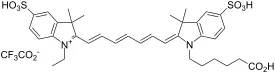 Cyanine 7 monoacid [equivalent to Cy7® acid] - image 1