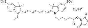 Cyanine 7 monosuccinimidyl ester [equivalent to Cy7® NHS ester] - image 2