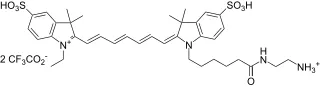 Cyanine 7 amine [equivalent to Cy7® amine] - image 1
